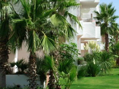 +06 jardin Lomas del Marques.jpg